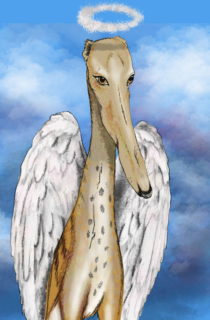 Galgo ángel con alas, ilustración digital.
