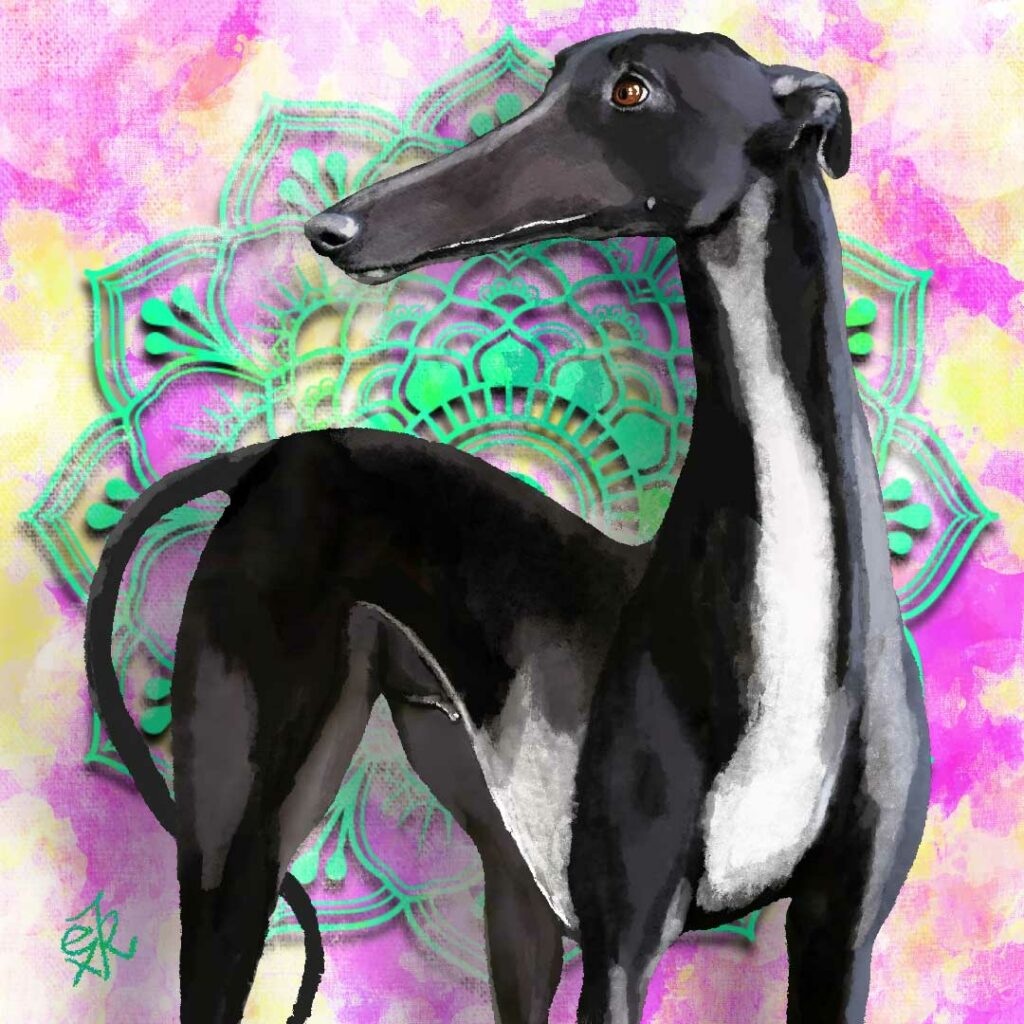 galgo negro con mandala, ilustración digital.