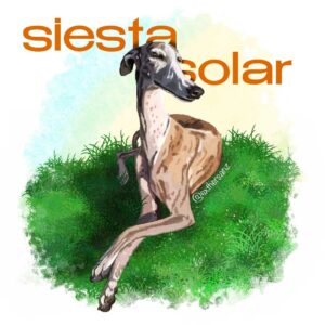 Siesta solar de galgo, ilustración digital.