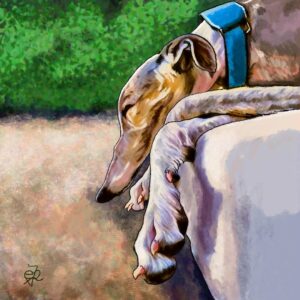 Galgo dormido en su colchoneta, Ilustración digital.