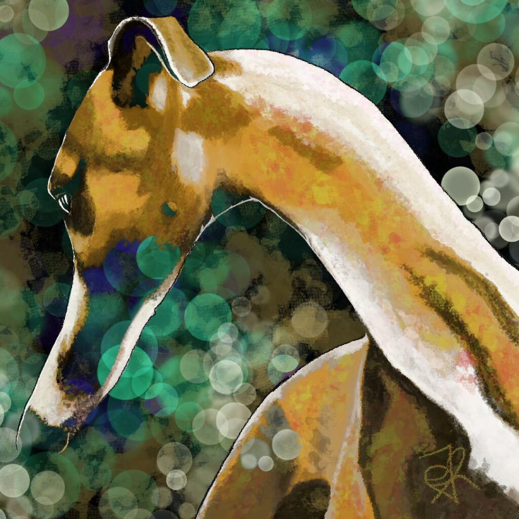 Galgo entre luces y brillos, ilustracion digital.