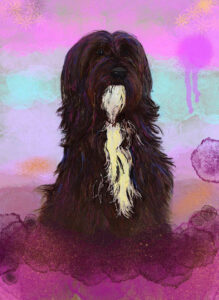 Retrato de perro negro de aguas, ilustración digital.