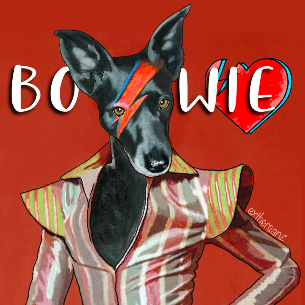 Perro Bowie, ilustración digital.